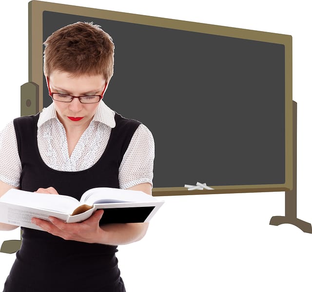 profesor de autoescuela